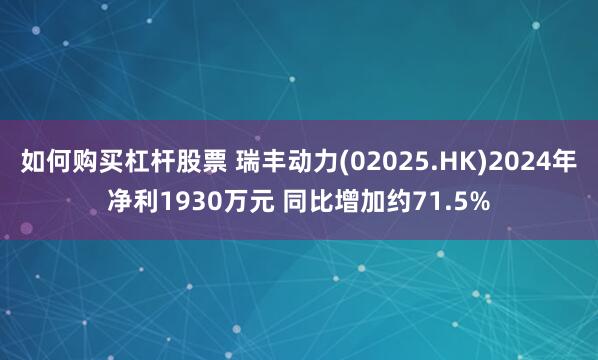 如何购买杠杆股票 瑞丰动力(02025.HK)2024年净利1930万元 同比增加约71.5%