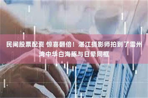 民间股票配资 惊喜翻倍！湛江摄影师拍到了雷州湾中华白海豚与日晕同框