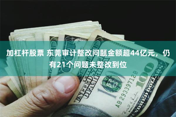 加杠杆股票 东莞审计整改问题金额超44亿元，仍有21个问题未整改到位