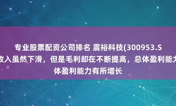 专业股票配资公司排名 震裕科技(300953.SZ)：营业收入虽然下滑，但是毛利却在不断提高，总体盈利能力有所增长