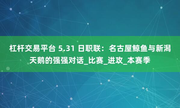 杠杆交易平台 5.31 日职联：名古屋鲸鱼与新潟天鹅的强强对话_比赛_进攻_本赛季