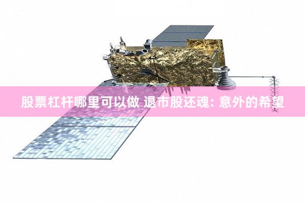 股票杠杆哪里可以做 退市股还魂: 意外的希望