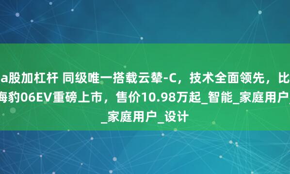 a股加杠杆 同级唯一搭载云辇-C，技术全面领先，比亚迪海豹06EV重磅上市，售价10.98万起_智能_家庭用户_设计