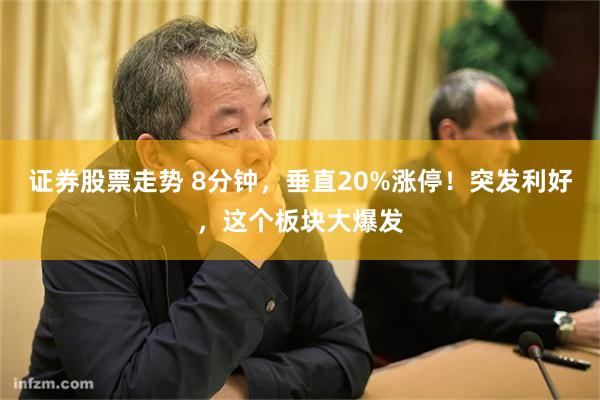证券股票走势 8分钟，垂直20%涨停！突发利好，这个板块大爆发