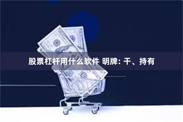 股票杠杆用什么软件 明牌: 干、持有