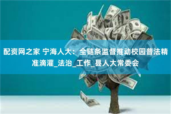 配资网之家 宁海人大：全链条监督推动校园普法精准滴灌_法治_工作_县人大常委会