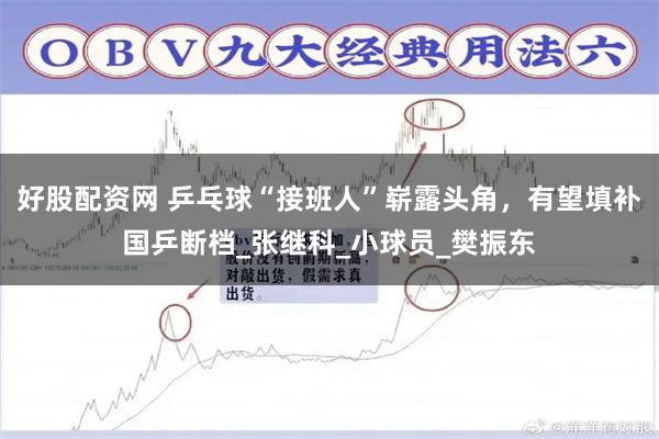 好股配资网 乒乓球“接班人”崭露头角，有望填补国乒断档_张继科_小球员_樊振东