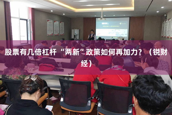 股票有几倍杠杆 “两新”政策如何再加力？（锐财经）
