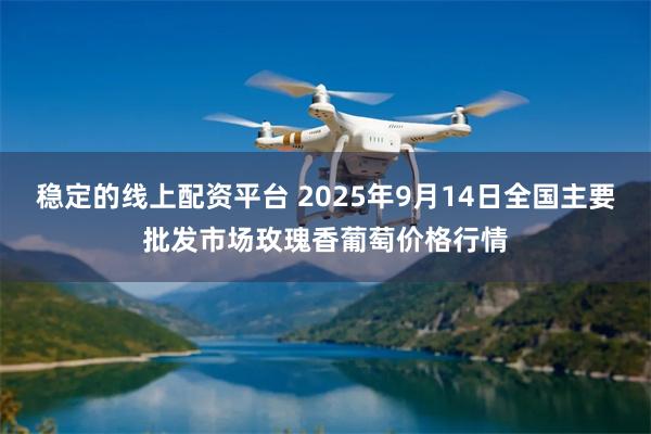 稳定的线上配资平台 2025年9月14日全国主要批发市场玫瑰香葡萄价格行情